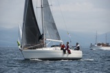salamander xxii 3361c whyw19 wed gjmc 4716